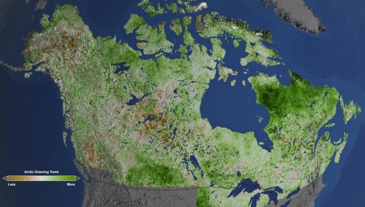 Greening Arctic: Impact of Climate Change in high Latitudes